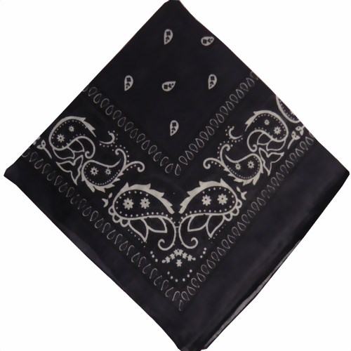 Bild von Bandana schwarz Paisley-Muster beige-weiß