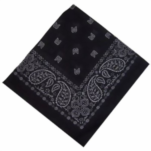 Bild von Bandana schwarz weißer Paisley-Muster