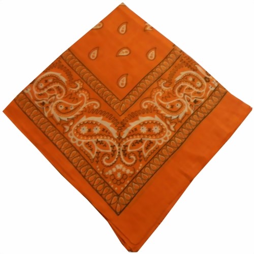 Bild von Bandana orange Nickituch Paisley-Muster 