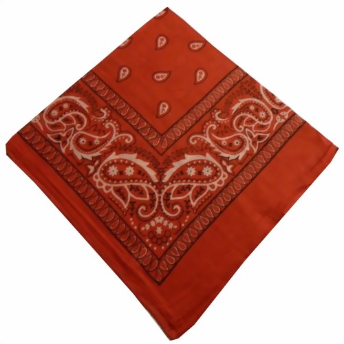 Bild von Bandana orange schwarz-weißer Paisley-Muster 